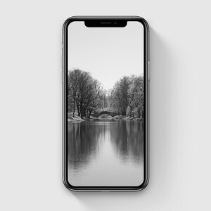 iPhone Nature Wallpaper, Symmetrical iPhone Wallpaper, Aesthetic Phone Wallpaper, Minimalist Art, Black and White Art, Digital Download