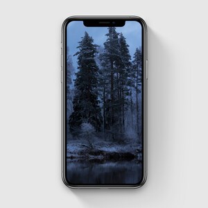Forest iPhone Wallpaper, Winter iPhone Wallpaper, Snowy iPhone Background Art, Aesthetic Phone Walpaper, iPhone Decor, Digital Download