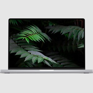 Green Plan MacBook Wallpaper, Desktop Background, MacBook Wallpaper, Digital Download, MacBook Pro Wallpaper, Laptop Background