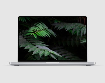Green Plan MacBook Wallpaper, Desktop Background, MacBook Wallpaper, Digital Download, MacBook Pro Wallpaper, Laptop Background