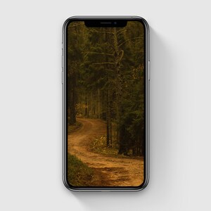 Forest iPhone Wallpaper, Dreamy iPhone Wallpaper, Mysterious Phone Background, Forest Phone Wallpaper, Photography Art, Digital Download
