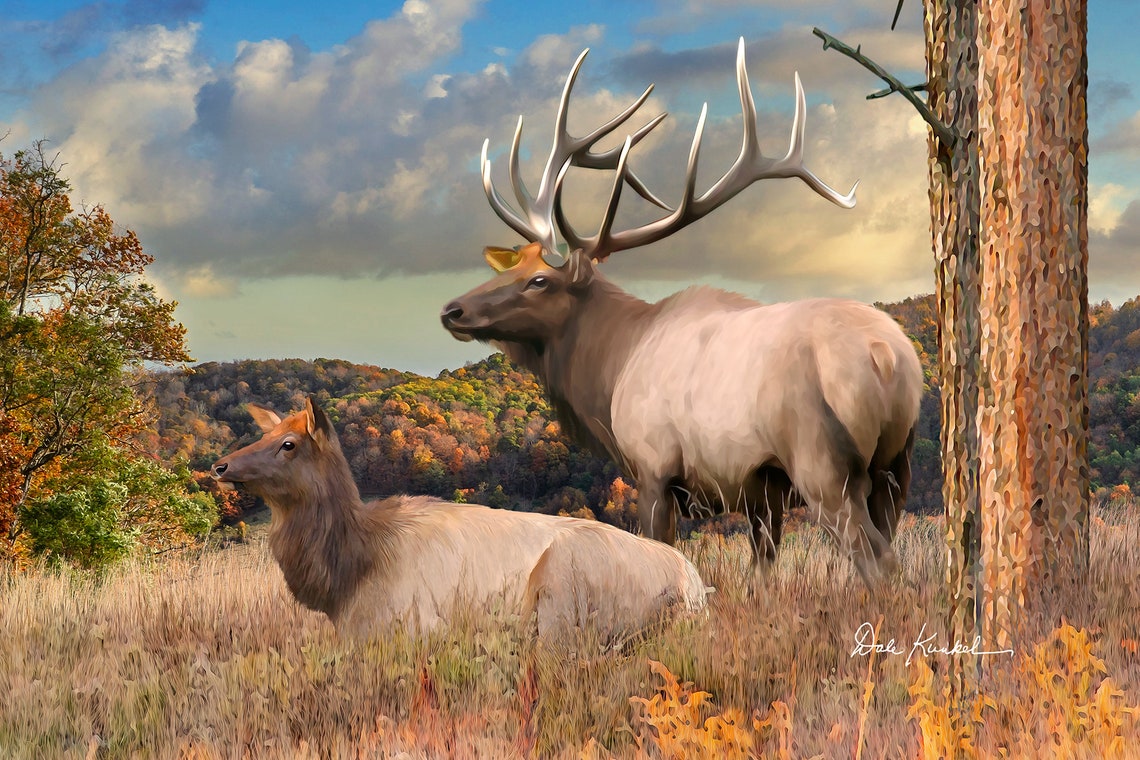 Wildlife Art Featuring the Elk Painting return of the Etsy