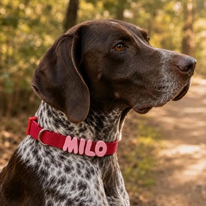 Puede incluir: Un collar para perro de color rojo oscuro que presenta letras grandes, de color rosa claro y tridimensionales que forman el nombre MILO. El collar está hecho de tela tejida e incluye una anilla en D de metal plateado para sujetar una correa.