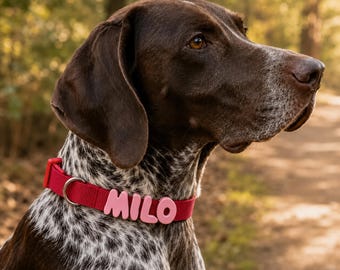 Personalized Pet Letter Collar, Custom Embroidered Dog Collar, Pet Name Collar, Gift for Pet Owner, New Puppy Gift, Dog Mom Gift, Birthday
