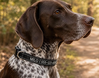 Personalized Pet Collar, Custom Embroidered Dog Collar, Pet Name Collar, Gift for Pet Owner, New Puppy Gift, Gift for Dog Mom, Birthday gift