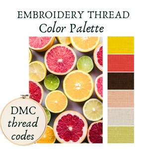 Paleta de colores de bordado Guía de hilos DMC Paleta de colores Colores cítricos Proyecto de punto de cruz Acolchado Accesorios de bordado Tablero de estado de ánimo de frutas