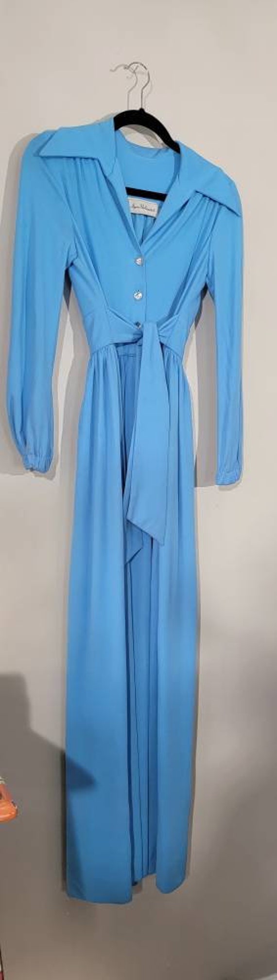 Vintage 1970's Baby Blue Maxi Dress Ayres Unlimit… - image 4
