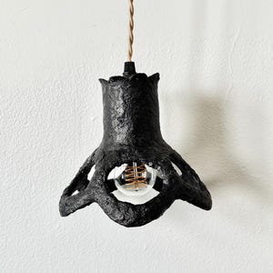 May include: Black, textured pendant light fixture with a unique, organic design. The fixture has a bulb visible through an opening and is suspended by a brown, twisted cord. The light hangs against a white wall.