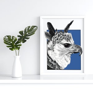 &quot;Harpy&quot; art print printed from an original drawing, A4 or A5, to frame, animal wall decoration