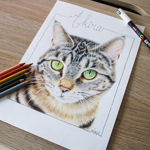 Portrait animalier en couleurs fait main, sur commande, animal de compagnie ou sauvage, cadeau pour les propriétaires d'animaux image 6