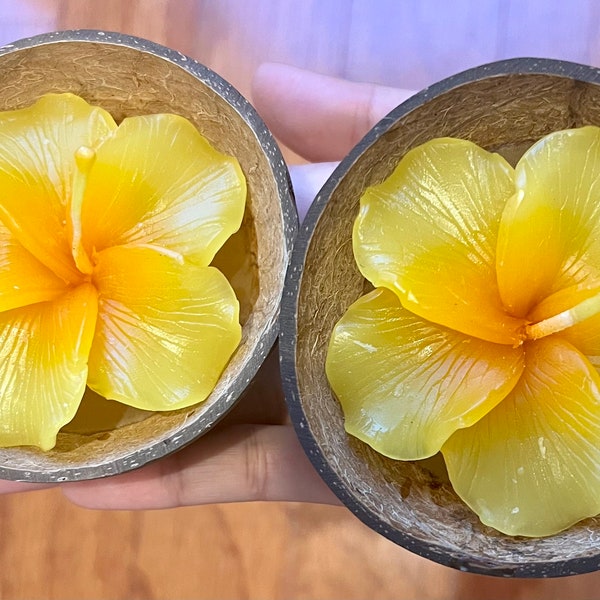 Thai Hibiscus Candle Flower in Coconut Shell - Set of 2