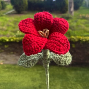 May include: A crocheted red flower with green leaves on a long stem. The flower is made with yarn and has a detailed design.