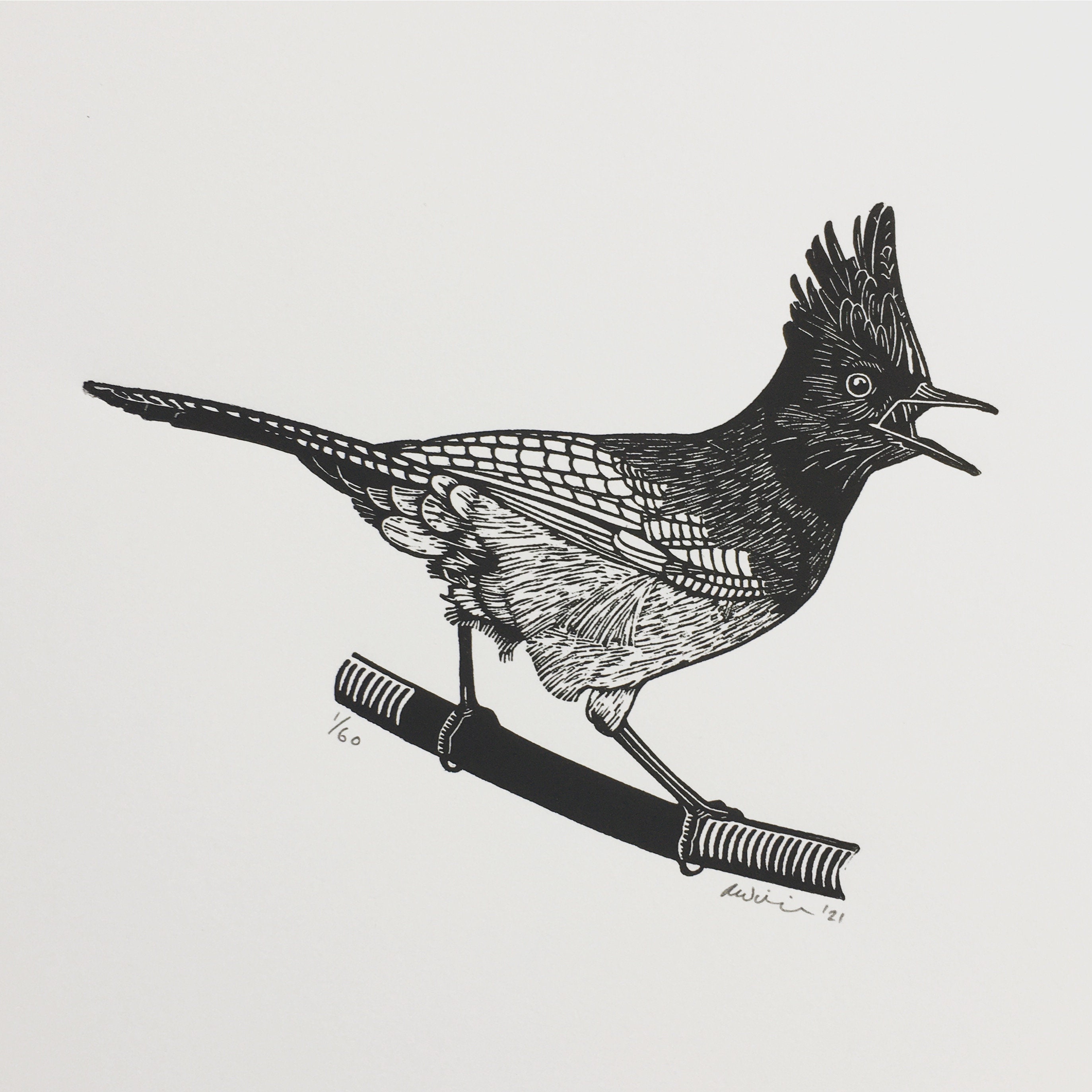 Steller's Jay | Handmade Limited Edition Linocut Print