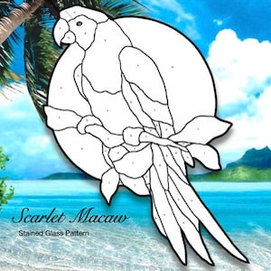 Red Macaw Stained Glass Pattern