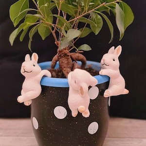May include: A black and white polka dot planter with a blue rim, featuring three white bunny figurines. The planter is filled with a small green plant with a brown root system.