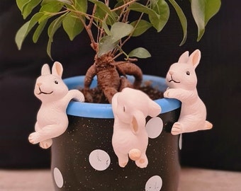 Peut inclure: Un pot de fleurs noir et blanc à pois avec un bord bleu, orné de trois figurines de lapin blanc. Le pot est rempli d'une petite plante verte avec un système racinaire brun.
