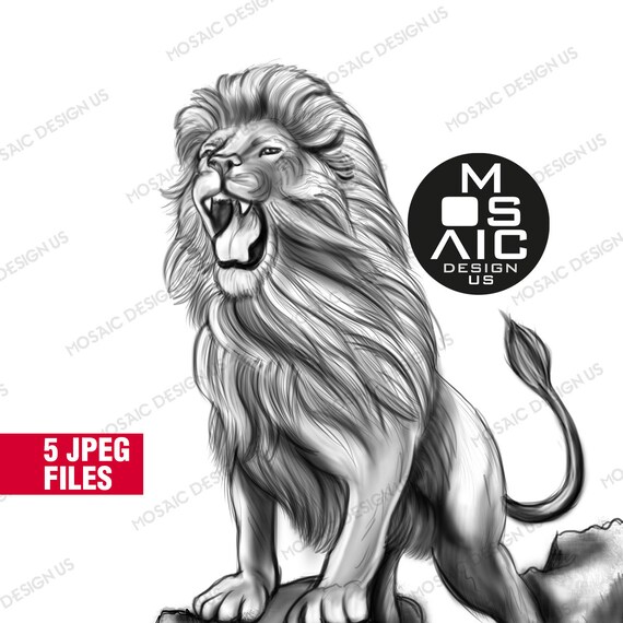 Realistic Lion Coloring Pages Lion Drawing Animal Coloring Etsy
