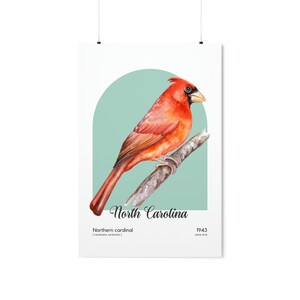 North Carolina State Bird Poster, Northern Cardinal Wall Art, Cardinalis Cardinalis image 1