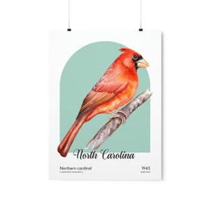 North Carolina State Bird Poster, Northern Cardinal Wall Art, Cardinalis Cardinalis image 9
