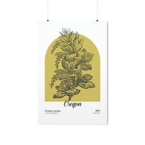 Oregon State Flower Poster, Oregon Grape Wall Art, Holly Leaved Barberry Art Print