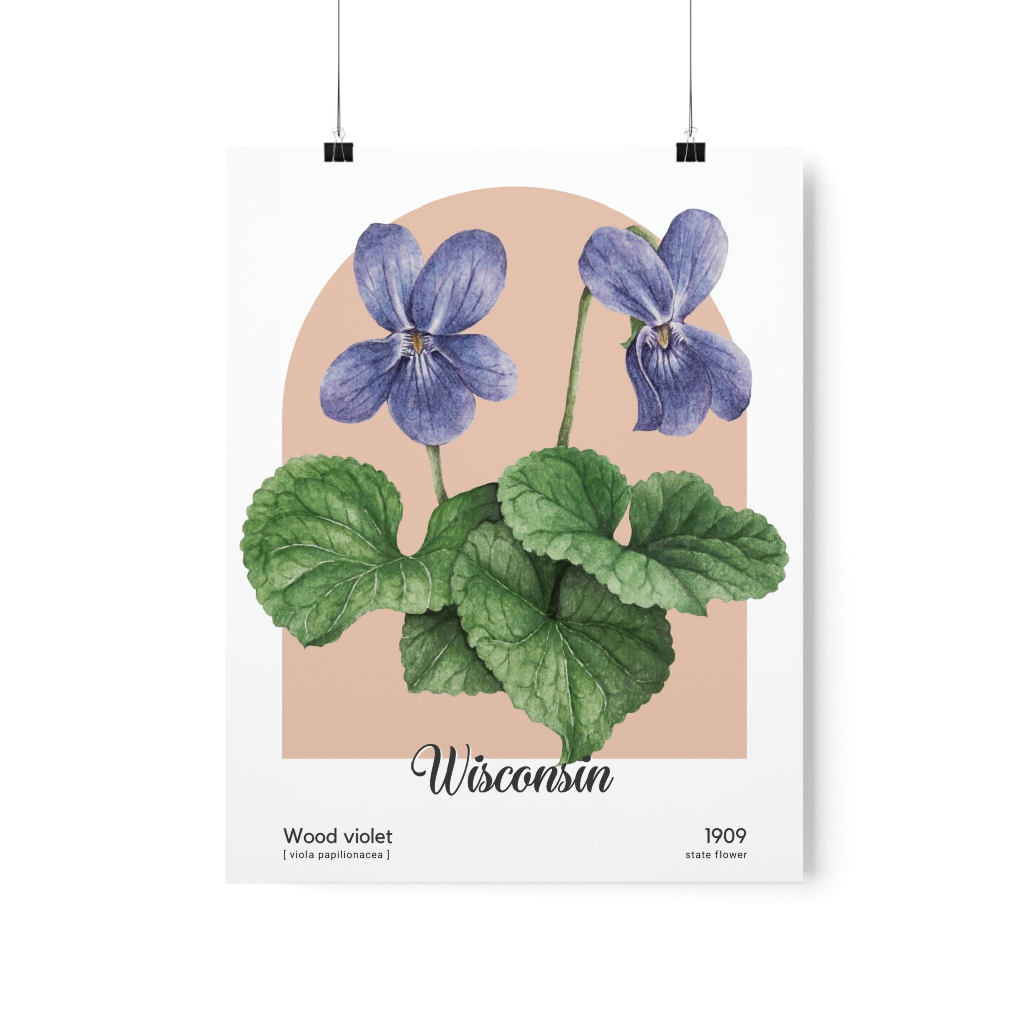 Wood violet deals