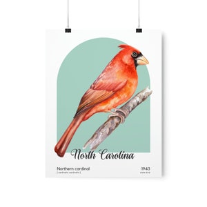 North Carolina State Bird Poster, Northern Cardinal Wall Art, Cardinalis Cardinalis image 6