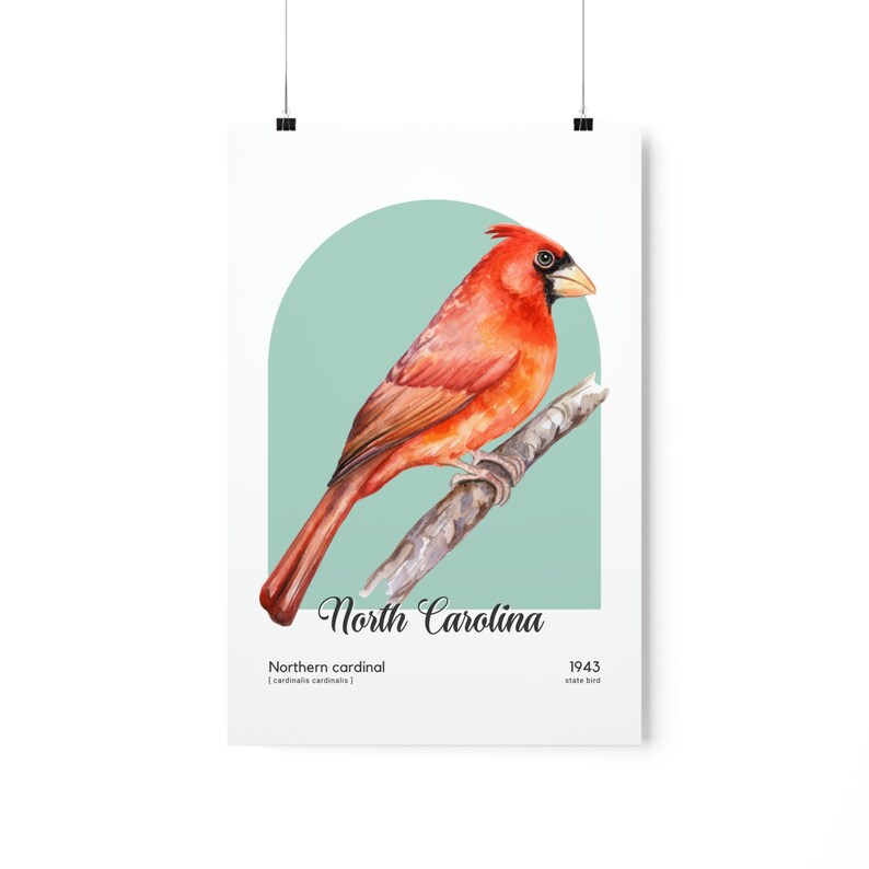 North Carolina State Bird Poster, Northern Cardinal Wall Art, Cardinalis Cardinalis image 7