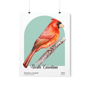 North Carolina State Bird Poster, Northern Cardinal Wall Art, Cardinalis Cardinalis image 8