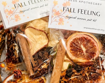 Kit pour pot-pourri d'automne | Parfum d'ambiance automnale | Rituel d'abondance et de gratitude