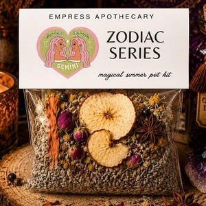 Gemini Zodiac Simmer Pot Kit | Gemini Gift | Astrology Home Fragrance | Witchy Stovetop Potpourri
