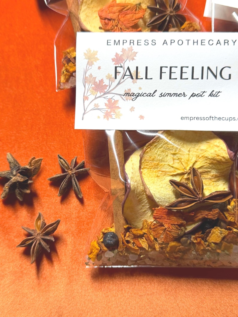 Kit de ambientador otoñal para olla a fuego lento / Popurrí otoñal para estufa / Fragancia acogedora para el hogar / Ritual de abundancia y gratitud imagen 9