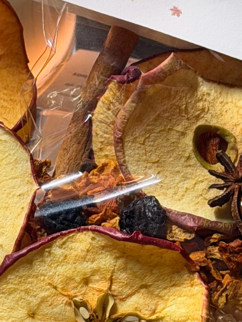 Kit de ambientador otoñal para olla a fuego lento / Popurrí otoñal para estufa / Fragancia acogedora para el hogar / Ritual de abundancia y gratitud imagen 7