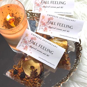 Kit de ambientador otoñal para olla a fuego lento / Popurrí otoñal para estufa / Fragancia acogedora para el hogar / Ritual de abundancia y gratitud imagen 4