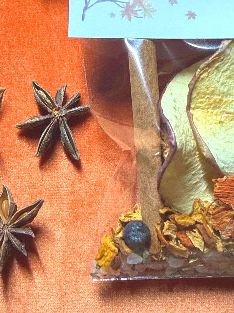 Kit de ambientador otoñal para olla a fuego lento / Popurrí otoñal para estufa / Fragancia acogedora para el hogar / Ritual de abundancia y gratitud imagen 10