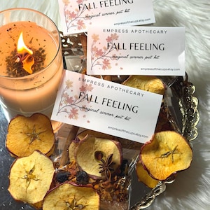 Kit de ambientador otoñal para olla a fuego lento / Popurrí otoñal para estufa / Fragancia acogedora para el hogar / Ritual de abundancia y gratitud imagen 5