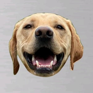 Custom Pet Magnet – Personalized Animal Lover Gift bild 2