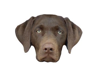 May include: Close-up of a brown dog's face with green eyes. The dog is looking directly at the camera.