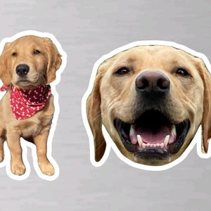 Personalized Pet Magnet - Personalized Animal Magnet - Refrigerator Magnet - Waterproof