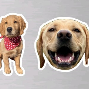 Custom Pet Magnet – Personalized Animal Lover Gift bild 4