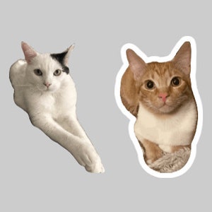 Custom Pet Magnet – Personalized Animal Lover Gift bild 8