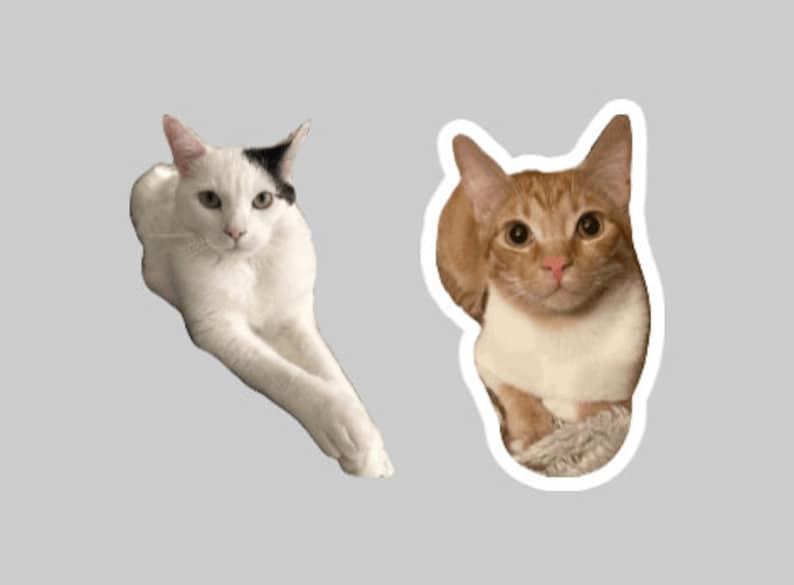 Custom Pet Magnet – Personalized Animal Lover Gift bild 8