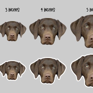 Custom Pet Magnet – Personalized Animal Lover Gift bild 5