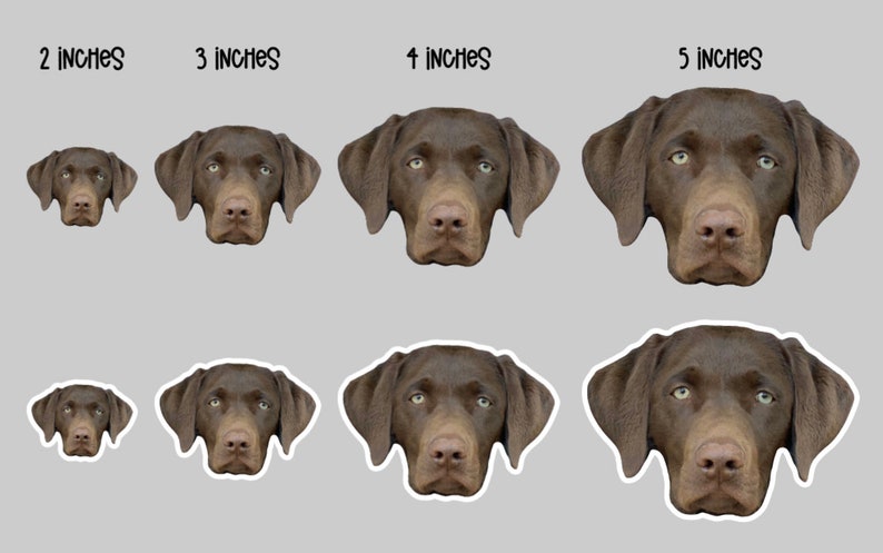 Custom Pet Magnet – Personalized Animal Lover Gift bild 5