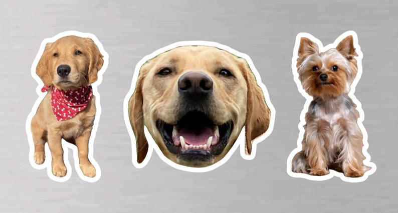 Custom Pet Magnet – Personalized Animal Lover Gift bild 4