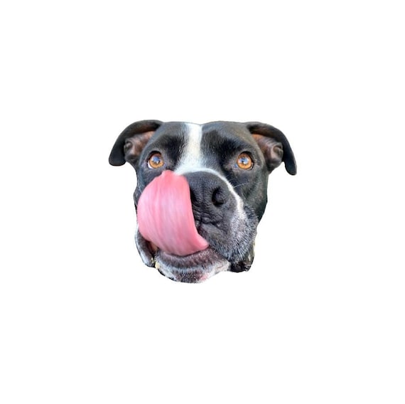 Custom Pet Magnet – Personalized Animal Lover Gift