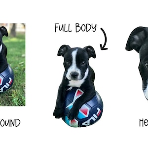 Custom Pet Magnet – Personalized Animal Lover Gift bild 6