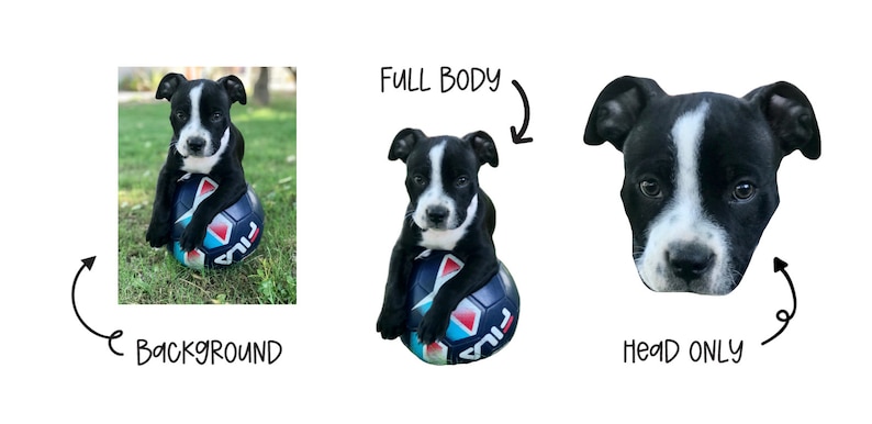 Custom Pet Magnet – Personalized Animal Lover Gift bild 6