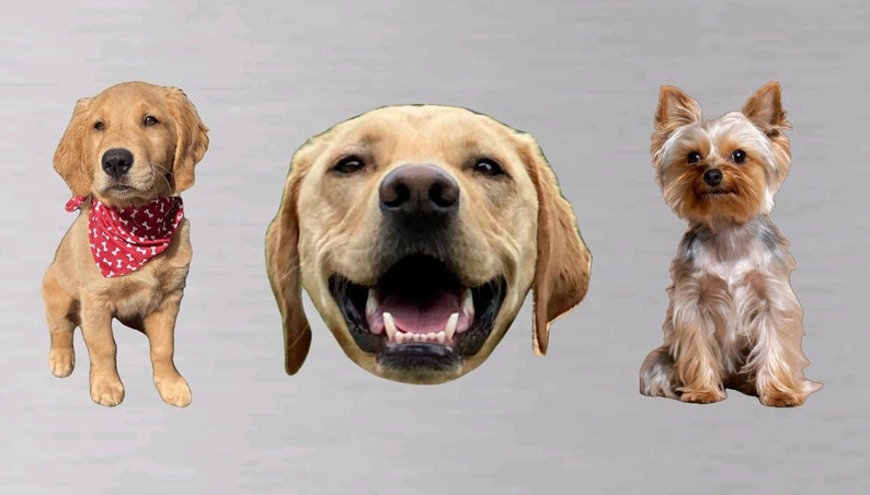 Custom Pet Magnet – Personalized Animal Lover Gift bild 2