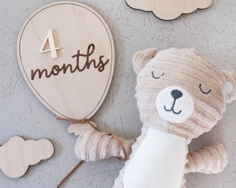 Balloon Milestone Markers | Monthly Marker | Birth Announcement | Monthly Milestone Disks | Milestone Cards | Monthly Signs For Baby