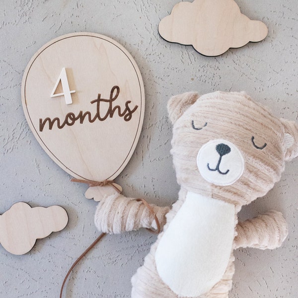 Balloon Milestone Markers | Monthly Marker | Birth Announcement | Monthly Milestone Disks | Milestone Cards | Monthly Signs For Baby